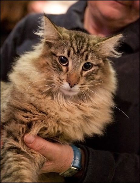 Inconnu 14.jpg - Inconnu